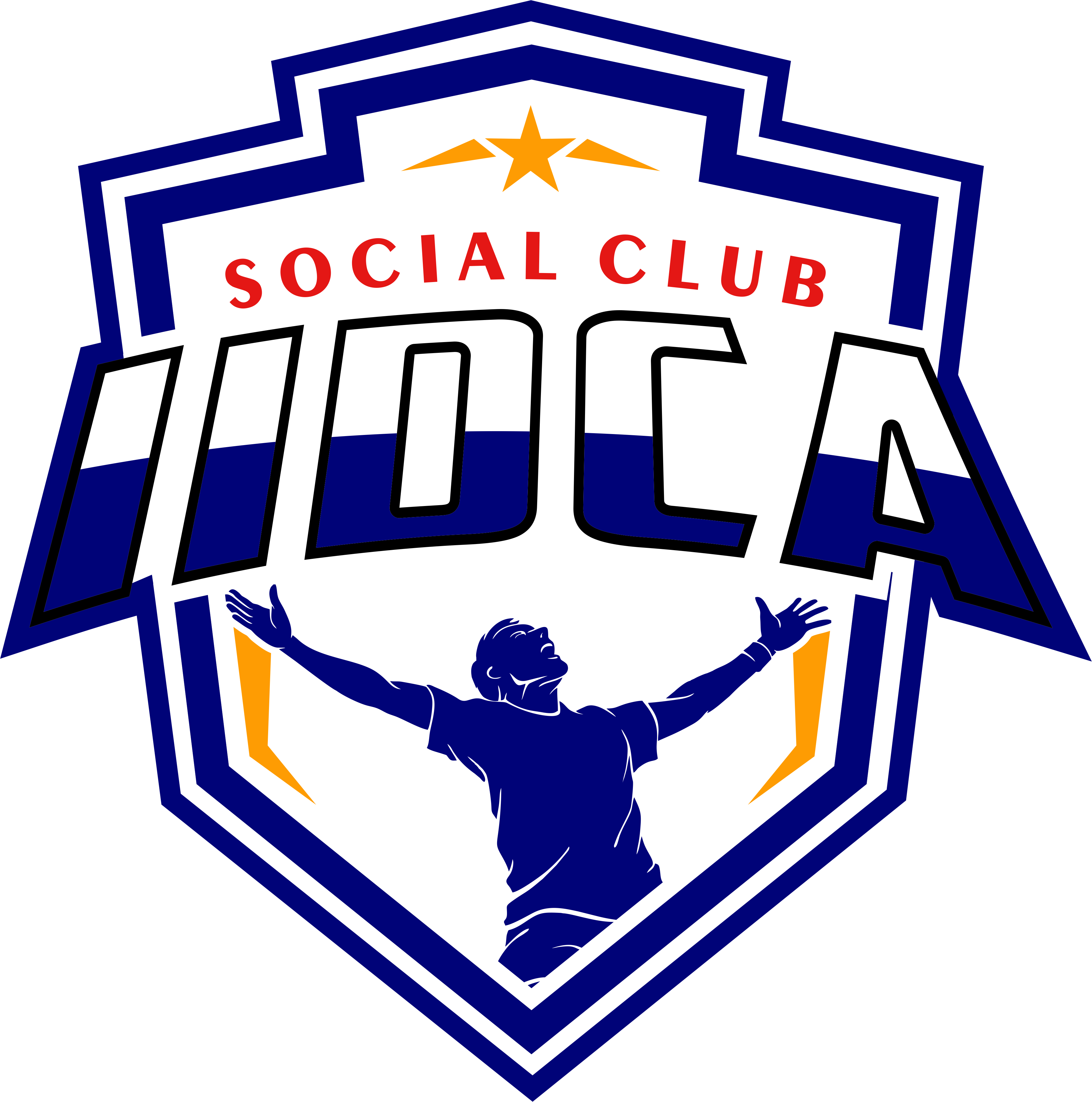 Logo IIDCA
